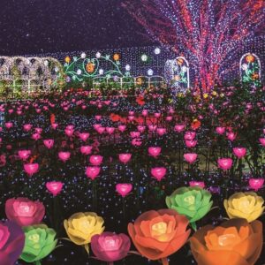 栃木県（あしかがフラワーパーク・足利市）